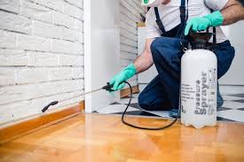 Best Termite Inspection and Treatment  in Mendota, IL